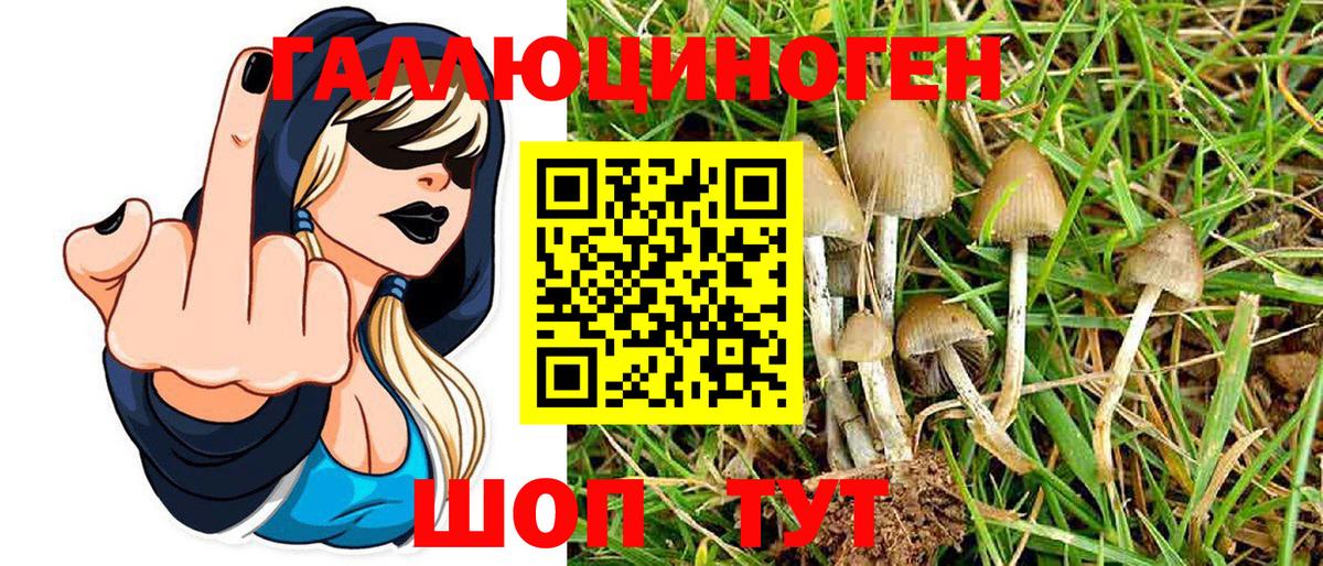 Псилоцибиновые грибы MAGIC MUSHROOMS  Вход с VPN  Псилоцибиновые грибы MAGIC MUSHROOMS  Североуральск 